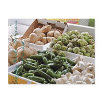 Safety Harbor Farmers Market Postcard