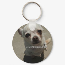 safey keychains by kawieesaki safey keychains