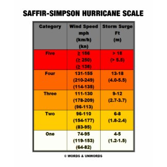 Saffir-Simpson Hurricane Scale (Meteorology) shirt