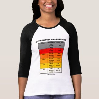 Saffir-Simpson Hurricane Scale (Meteorology) shirt