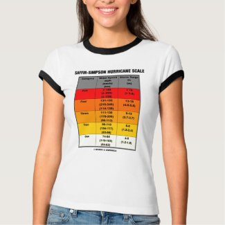 Saffir-Simpson Hurricane Scale (Meteorology) shirt