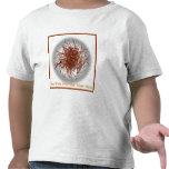 saffron gold tshirt saffron gold tshirt