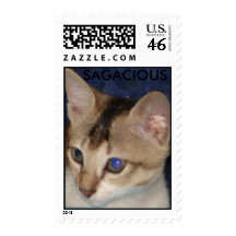SAGACIOUS STAMPS
