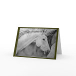 "Sage" 5x7 Greeting Cards