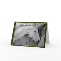 "Sage" 5x7 Greeting Cards by Spaziani "Sage" 5x7 Greeting Cards