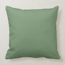 Sage Green Background on a Pillow pillows