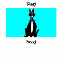 Saggy, Pussy t-shirts by PS_DESIGNS Saggy, Pussy t-shirts