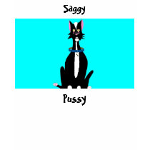 Saggy, Pussy t-shirts