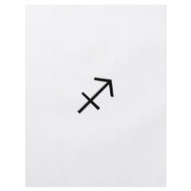 Sagittarius - Zodiac Sign Flyer