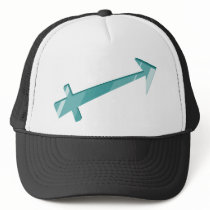 Sagittarius Zodiac Symbol hats