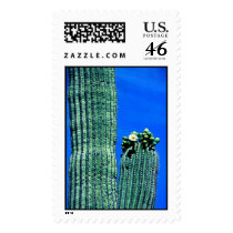 saguaro5 postage