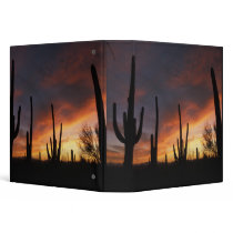 saguaro cacti, Carnegiea gigantea, after Binder