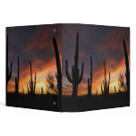 saguaro cacti, Carnegiea gigantea, after binders