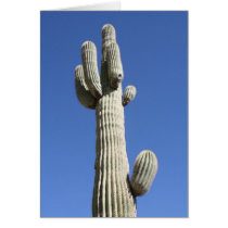 Saguaro Cactus and Blue Sky Greeting Cards