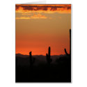 Saguaro Cactus at Sunset cards by pattirm1 Saguaro Cactus at Sunset cards