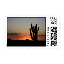 Saguaro Cactus at Sunset Postage Stamp