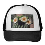Saguaro Cactus Blossoms flowers Hats
