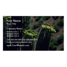 Saguaro Cactus Bouquet flowers Business Cards