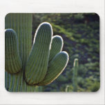 Saguaro Cactus Branchlets Mouse Pads