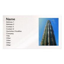 Saguaro Cactus Business Card Templates