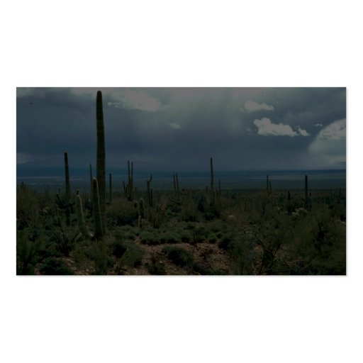 Saguaro Cactus Business Cards (back side)