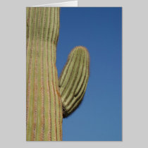 Saguaro Cactus cards