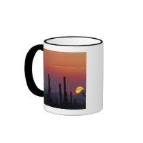 Saguaro Cactus Carnegiea gigantea), Sunset, Mugs