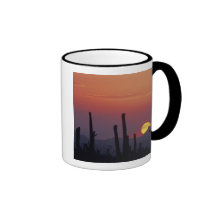 Saguaro Cactus Carnegiea gigantea), Sunset, Mugs