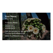 Saguaro Cactus flowers Business Card
