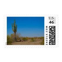 Saguaro Cactus on Lonely Desert Road Stamp