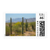 Saguaro Cactus Stamps
