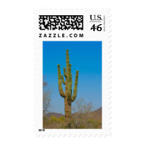 Saguaro Cactus Stamp