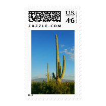 Saguaro Cactus Postage Stamp