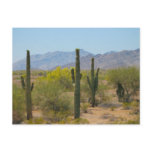 Saguaro Cactus Postcards