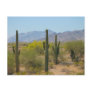 Saguaro Cactus Postcards