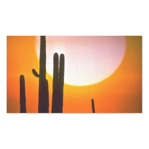 Saguaro cactus, Sonoran Desert, U.S.A. Desert Business Card Templates (back side)