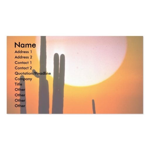 Saguaro cactus, Sonoran Desert, U.S.A. Desert Business Card Templates (front side)