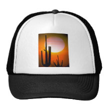 Saguaro cactus, Sonoran Desert, U.S.A. Desert Hats