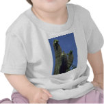 Saguaro Cactus Tee Shirts