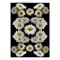 SAGUARO COMPOSITE AS CARD