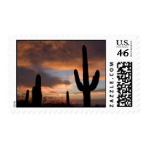 Saguaro Desert Cactus Postage Stamps