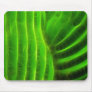 Saguaro Glow Mousepad