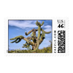 Saguaro Monster Stamps