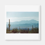 Saguaro National Park Magnets