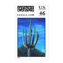 saguaro stamps