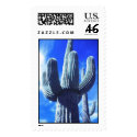saguaro postage by gtk88594 saguaro postage