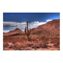 Saguaro posters by diomedes66 Saguaro posters