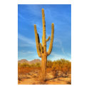 Saguaro posters by diomedes66 Saguaro posters