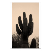 Saguaro posters