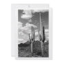 Saguaro Sentinel (AZ Sonoran Desert) Invitation